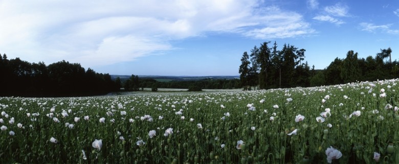 Stálá výstava fotografií Posázaví Daniela Korola