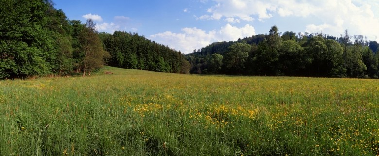 Stálá výstava fotografií Posázaví Daniela Korola